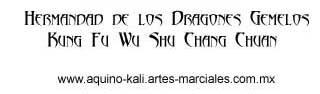 Hermandad de los dragones gemelos Kung Fu Wu Shu Chang Chuan