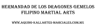 Hermandad de los dragones gemelos Kung Fu Wu Shu Chang Chuan