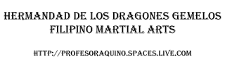 Hermandad de los dragones gemelos Kung Fu Wu Shu Chang Chuan Hermandad de los dragones gemelos Kung Fu Wu Shu Chang Chuan